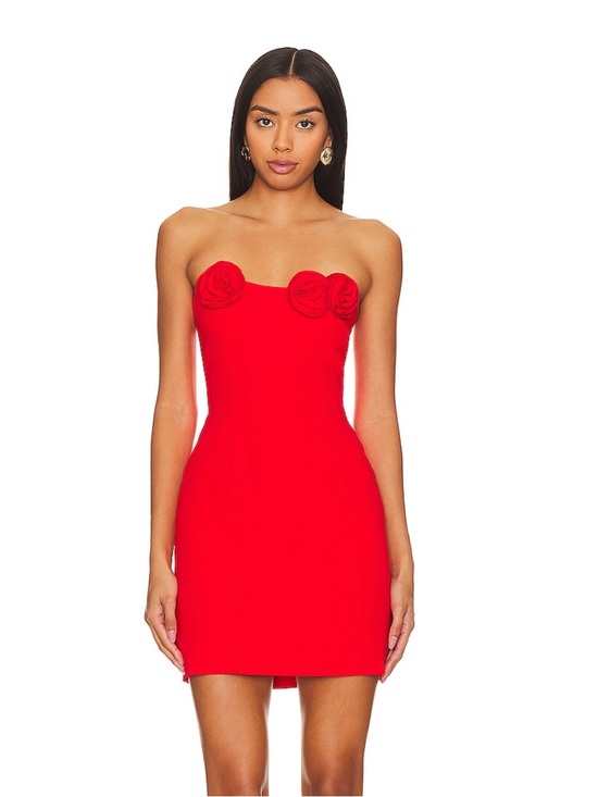 Amanda Uprichard Dresses & Skirts - Amanda Uprichard x Revolve Sabine Mini Dress in Crimson